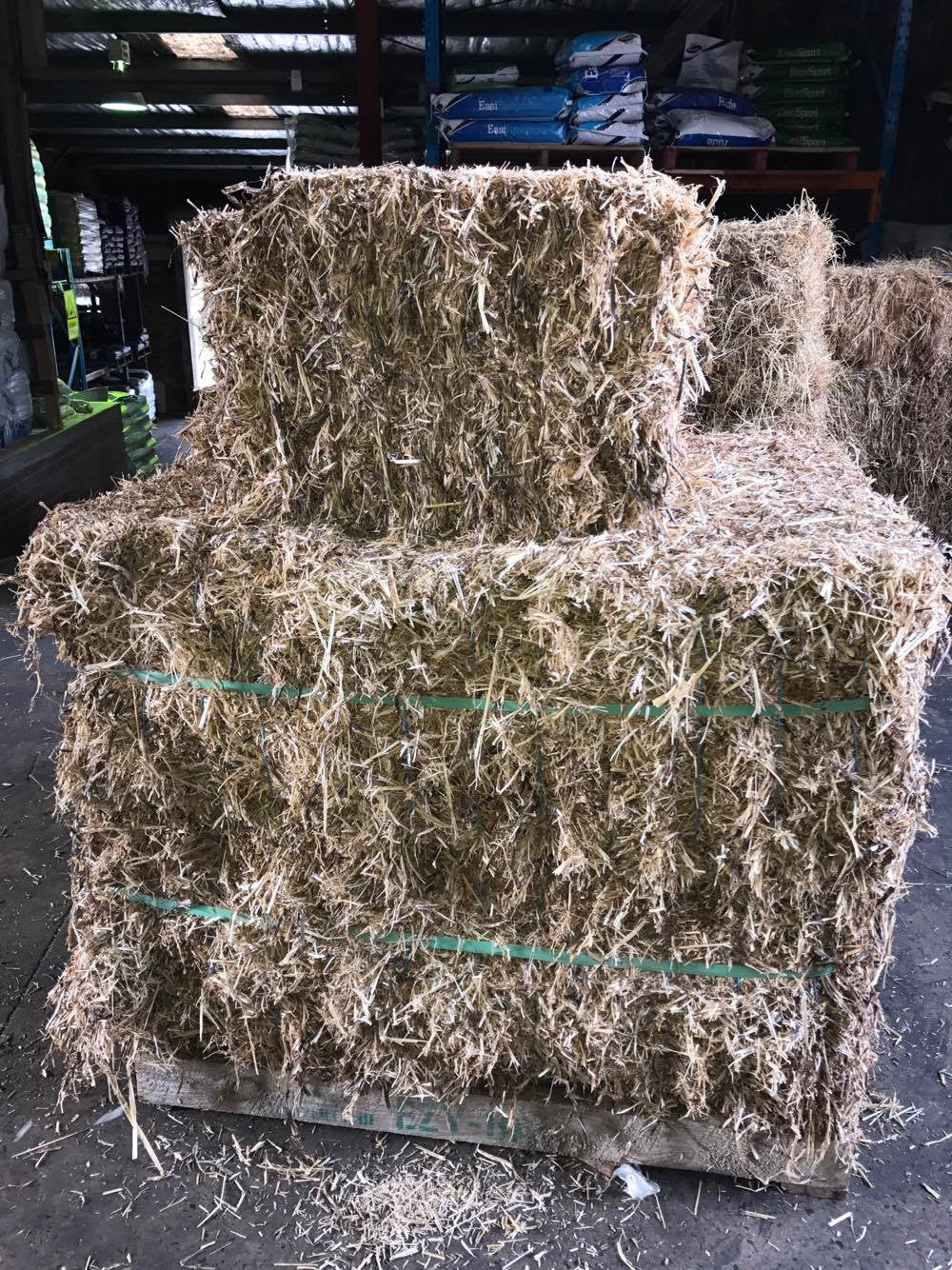 Hay